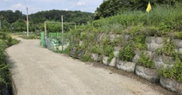 경상북도 성주군 수륜면 신파리 281  미지정 경매 물건 이미지