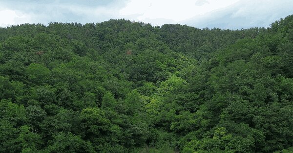 경상남도 진주시 일반성면 가선리 산51  미지정 경매 물건 이미지