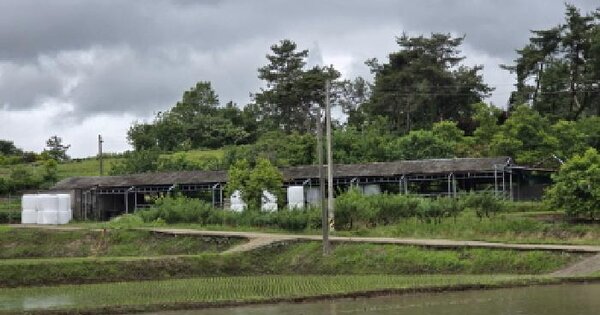 전라남도 강진군 성전면 송학리 573  미지정 경매 물건 이미지