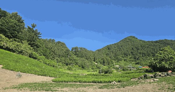 경상북도 울릉군 울릉읍 사동리 594  미지정 경매 물건 이미지