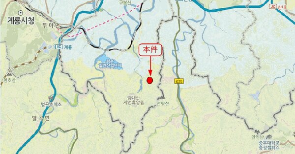 대전광역시 서구 장안동 산8-4  미지정 경매 물건 이미지