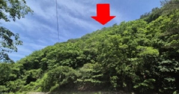 강원특별자치도 양양군 서면 갈천리 산18  미지정 경매 물건 이미지