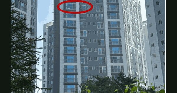 경기도 양주시 덕정동 540 양주서희스타힐스2단지 203동 11층 1105호 미지정 경매 물건 이미지