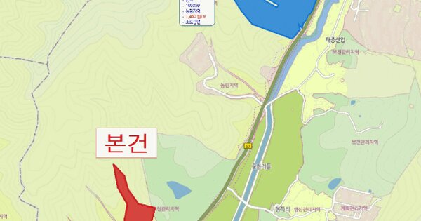 경상북도 고령군 운수면 신간리 산170  미지정 경매 물건 이미지