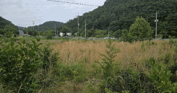 경상남도 통영시 도산면 도선리 471-1  미지정 경매 물건 이미지