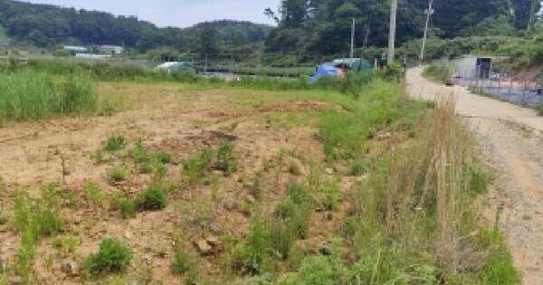 충청남도 서천군 서면 월호리 56-1  미지정 경매 물건 이미지