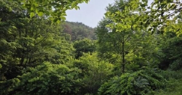 경상남도 사천시 사천읍 금곡리 507  미지정 경매 물건 이미지