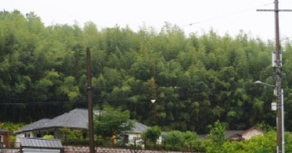 경상남도 밀양시 삼랑진읍 검세리 521-1  미지정 경매 물건 이미지