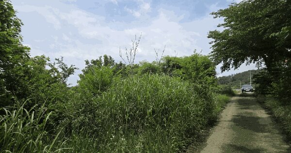 경상남도 창녕군 대합면 대동리 473-2  미지정 경매 물건 이미지