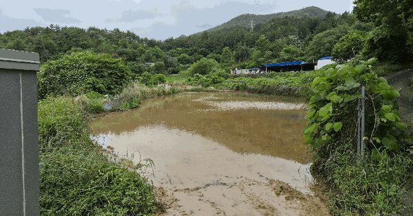경상남도 통영시 광도면 노산리 748  미지정 경매 물건 이미지