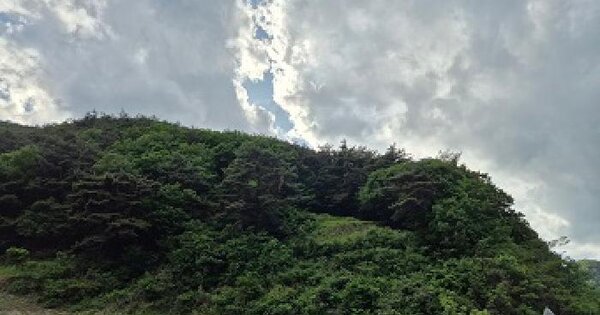 경상북도 청송군 현서면 사촌리 산114  미지정 경매 물건 이미지