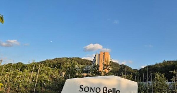경상북도 청송군 주왕산면 하의리 859 대명리조트청송휴양콘도미니엄 본관동 3층339호 미지정 경매 물건 이미지