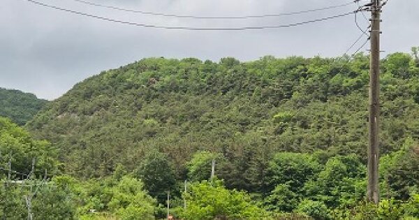 경상북도 의성군 단밀면 용곡리 산42  미지정 경매 물건 이미지