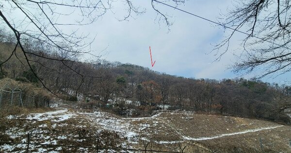 경기도 화성시 효행구 정남면 백리 산67-10 임야 경매 물건 이미지