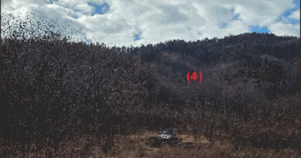 충청남도 천안시 동남구 병천면 병천리 424-4 임야 경매 물건 이미지
