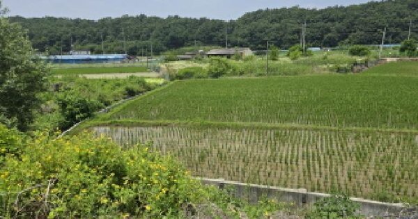 경상북도 영천시 북안면 유상리 OOOOO 답 경매 물건 이미지
