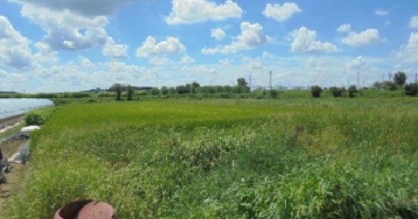 충청남도 논산시 상월면 숙진리 841-6 답 경매 물건 이미지