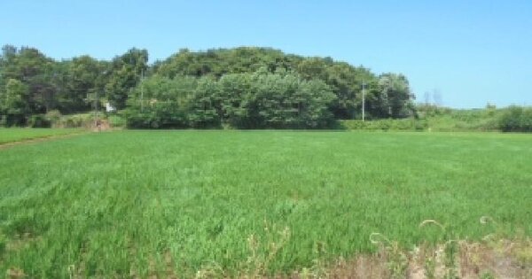 충청남도 논산시 성동면 원북리 846-2 답 경매 물건 이미지