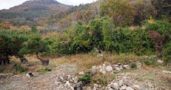 경상남도 밀양시 부북면 청운리 292 대지 경매 물건 이미지