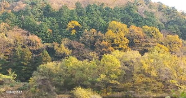 경상남도 거제시 연초면 죽토리 111-2 답 경매 물건 이미지