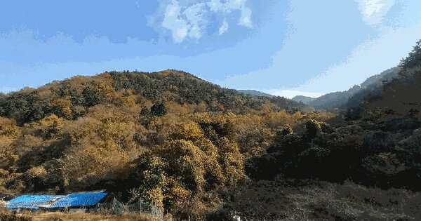 경상남도 거제시 연초면 죽토리 91 답 경매 물건 이미지