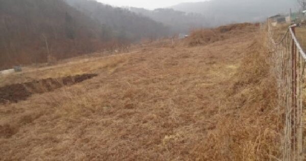 전북특별자치도 완주군 화산면 우월리 301 답 경매 물건 이미지