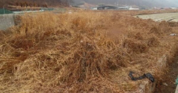 전북특별자치도 완주군 화산면 우월리 496 답 경매 물건 이미지