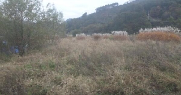 전북특별자치도 완주군 구이면 광곡리 355 전 경매 물건 이미지
