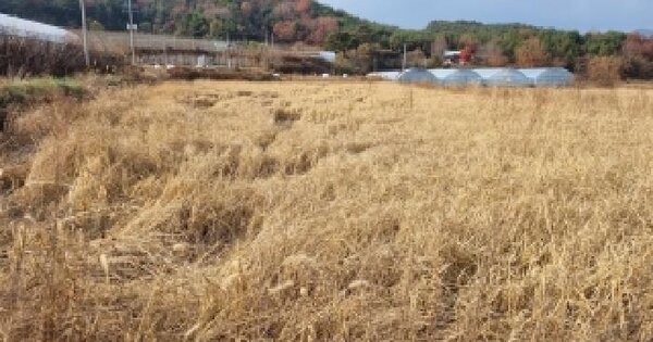 전북특별자치도 남원시 운봉읍 준향리 817-4 답 경매 물건 이미지