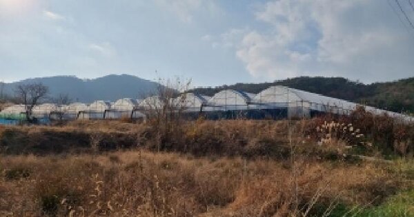 전북특별자치도 남원시 운봉읍 준향리 818-2 답 경매 물건 이미지