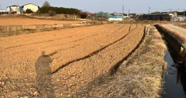 전북특별자치도 정읍시 이평면 평령리 288 답 경매 물건 이미지