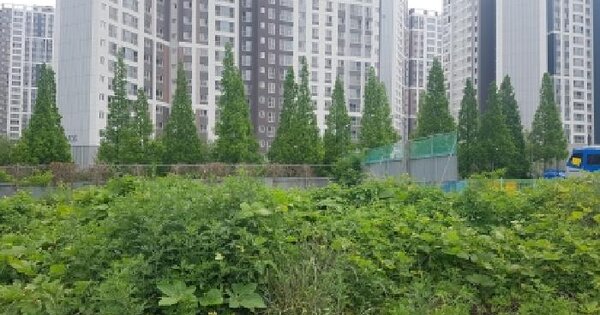 충청남도 천안시 동남구 풍세면 보성리 787  미지정 경매 물건 이미지