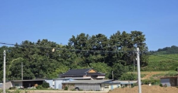 전북특별자치도 고창군 공음면 구암리 907  미지정 경매 물건 이미지