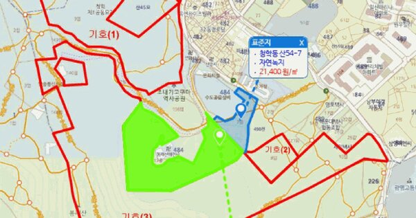 부산광역시 영도구 청학동 산54-3  미지정 경매 물건 이미지