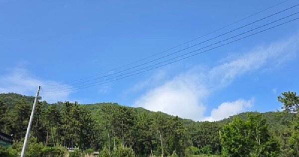 경상남도 사천시 실안동 95  미지정 경매 물건 이미지
