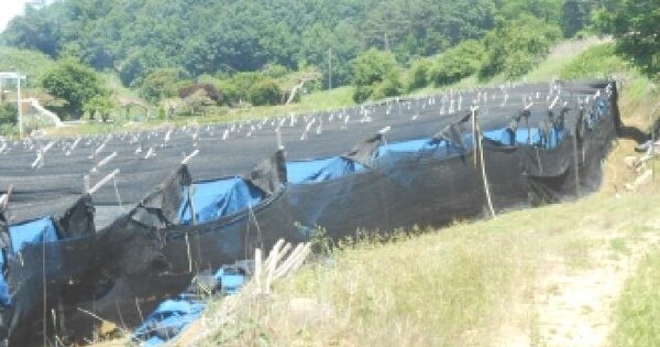 세종특별자치시 연서면 고복리 23-1 과수원 경매 물건 이미지
