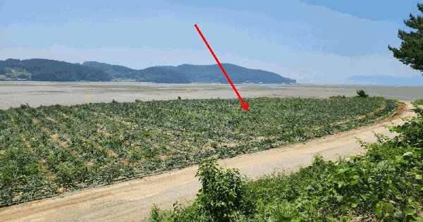 충청남도 서산시 지곡면 도성리 607-15  미지정 경매 물건 이미지