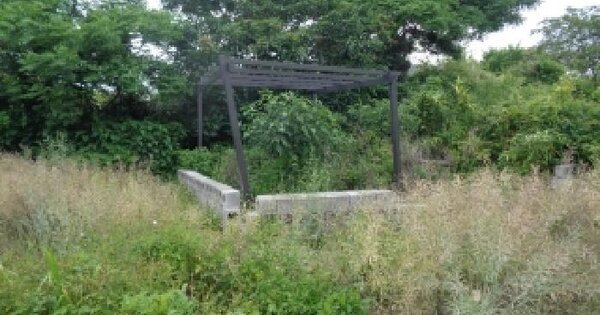 제주특별자치도 서귀포시 안덕면 화순리 775-14  미지정 경매 물건 이미지
