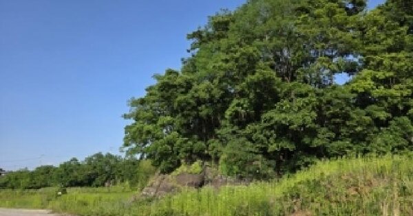 경상남도 사천시 서포면 선전리 446-1  미지정 경매 물건 이미지