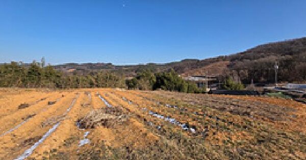 충청남도 홍성군 장곡면 신풍리 588-3 전 경매 물건 이미지