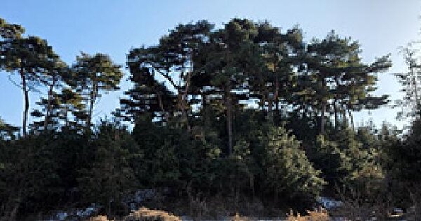 충청남도 홍성군 장곡면 신풍리 121-1 전 경매 물건 이미지
