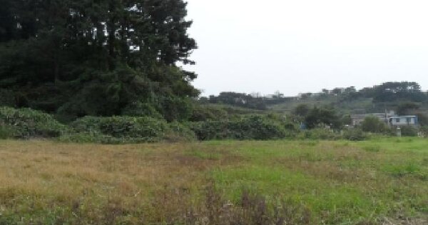 충청남도 태안군 고남면 고남리 946 전 경매 물건 이미지