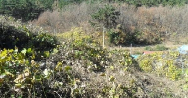 충청남도 태안군 이원면 포지리 580 전 경매 물건 이미지