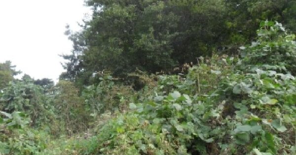 충청남도 태안군 고남면 고남리 891 전 경매 물건 이미지