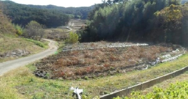 충청남도 태안군 이원면 포지리 583 답 경매 물건 이미지