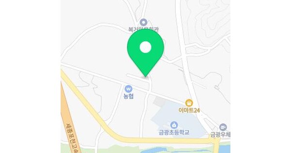 경기도 안성시 금광면 신양복리 383-7  미지정 경매 물건 이미지