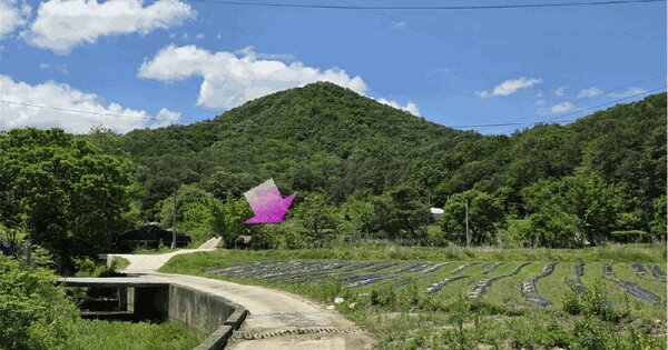 대전광역시 유성구 성북동 126  미지정 경매 물건 이미지