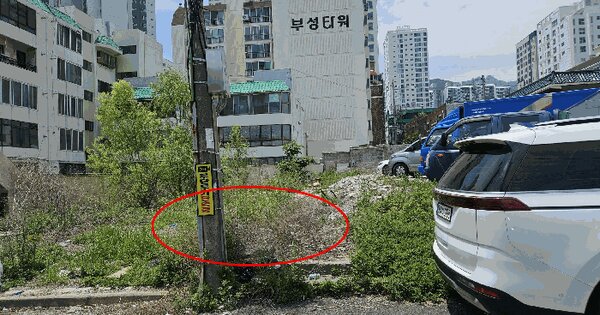 부산광역시 금정구 구서동 178-12  미지정 경매 물건 이미지