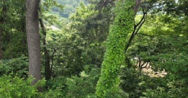 충청남도 아산시 배방읍 수철리 73-3  미지정 경매 물건 이미지