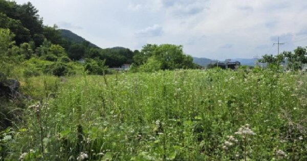 경상북도 성주군 수륜면 수성리 산22  미지정 경매 물건 이미지